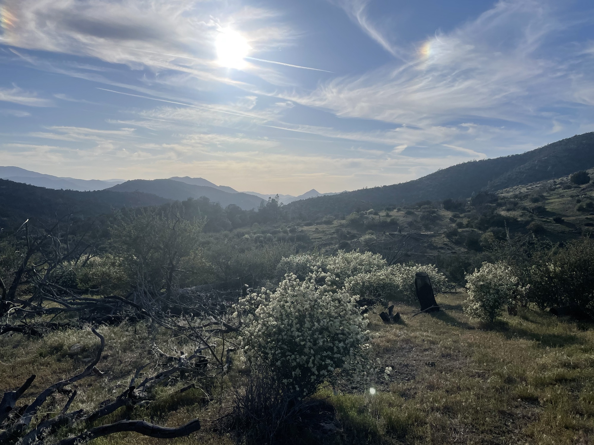 Day 39-41 Miles 541.5-589.2