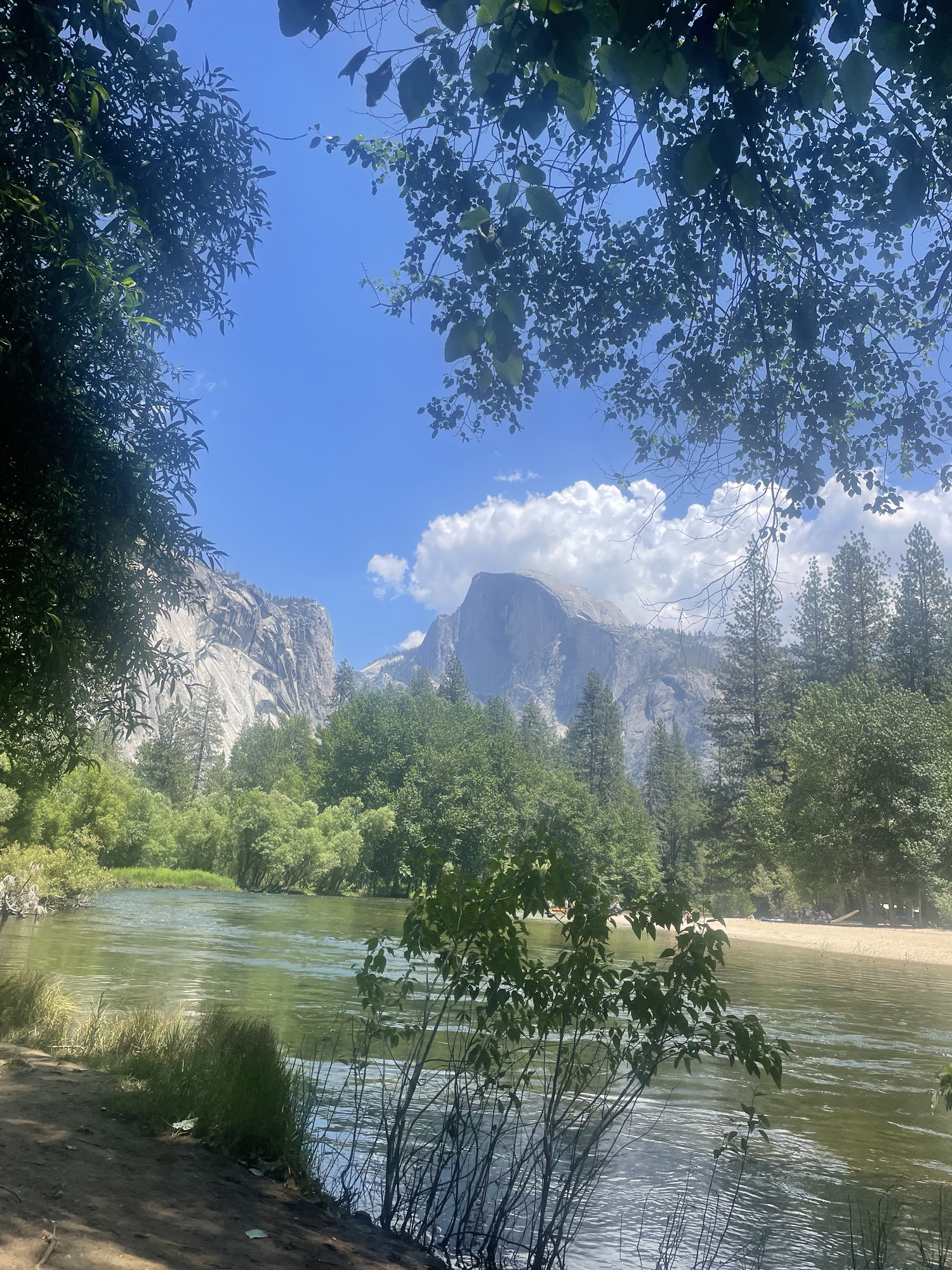 Days 88-91 Yosemite Valley