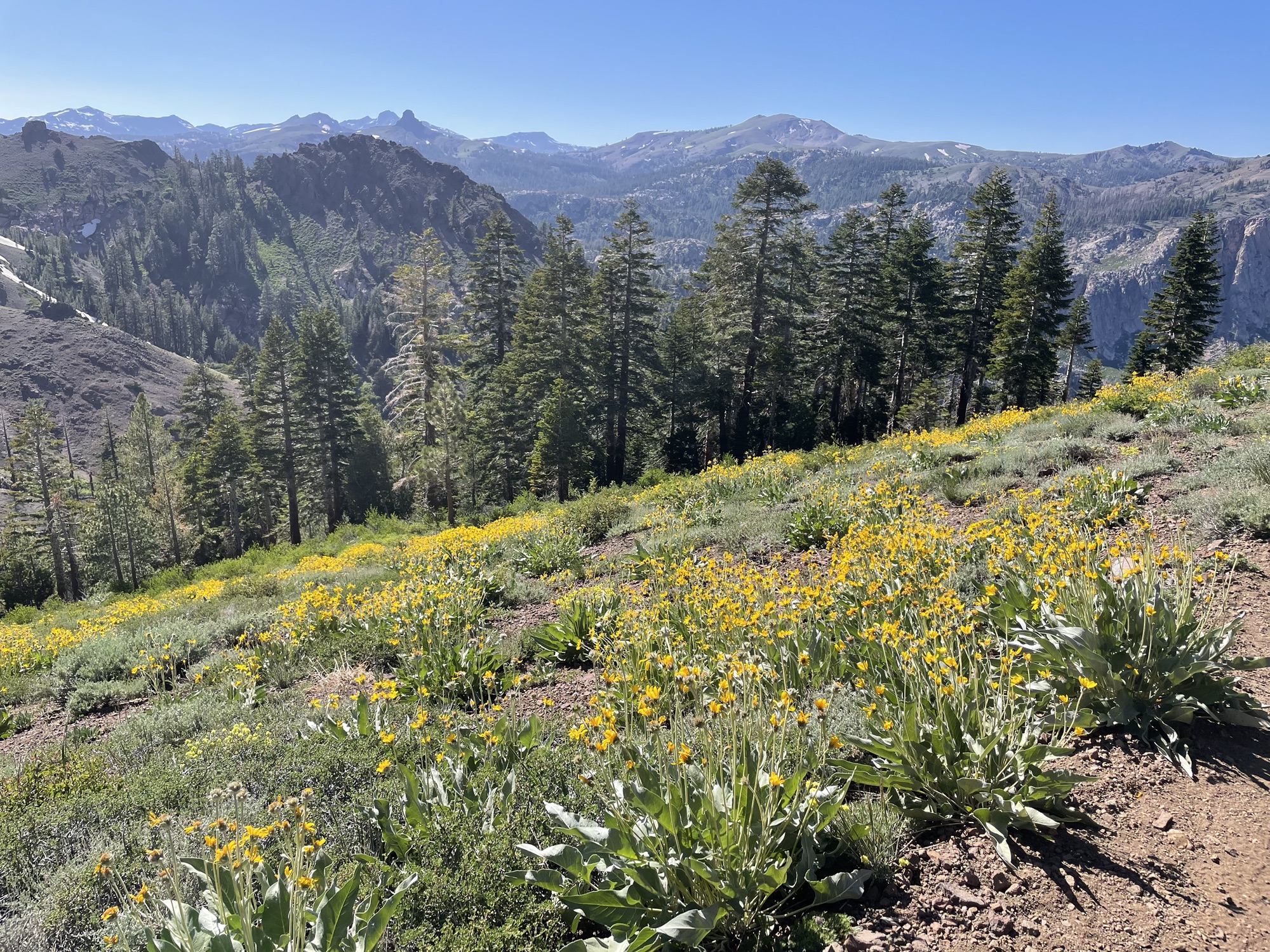 Day 96&97 Miles 1018-1062