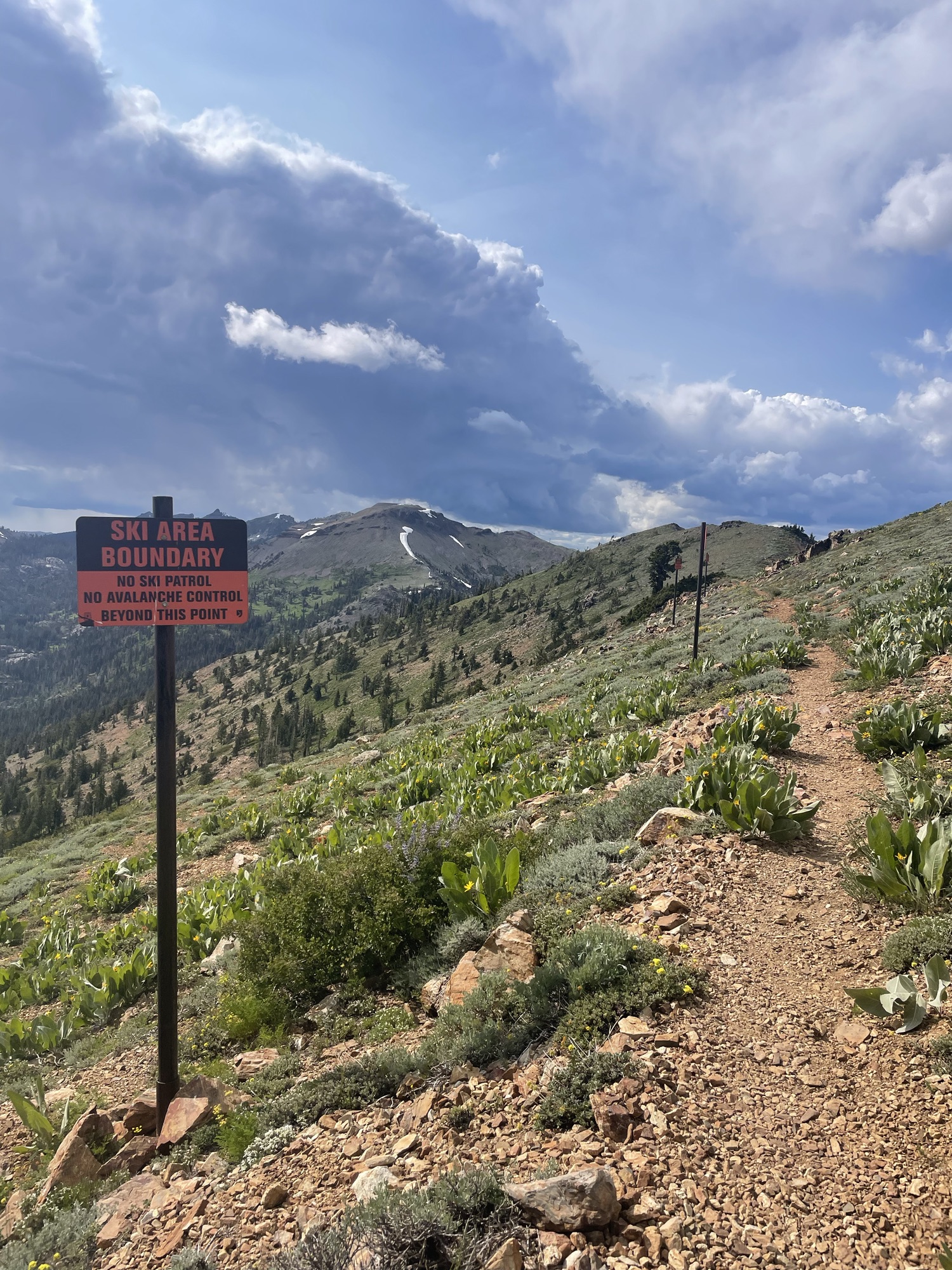 Days 102-103 Miles 1093-1137
