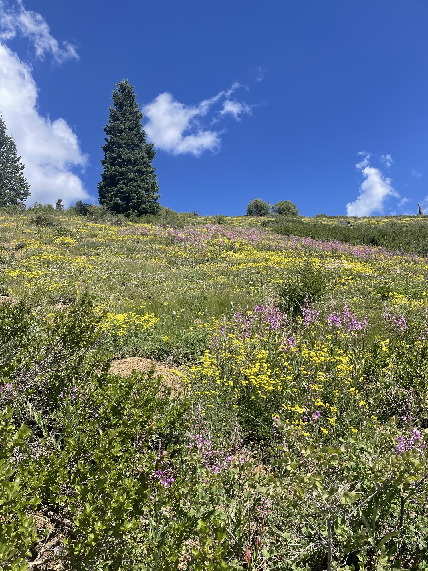 Day 133&134 Miles 1693-1716