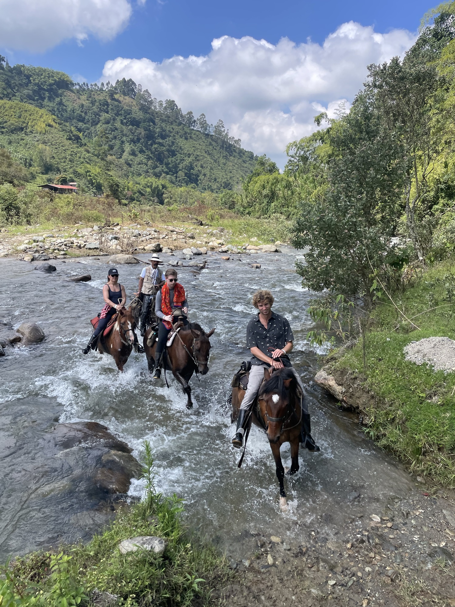 Medellin, Jardin, Salento and Bogota part 3